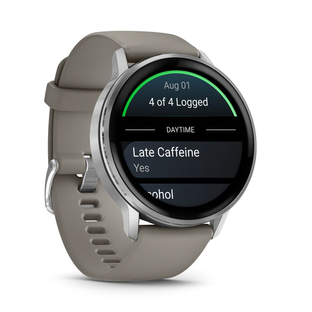 Garmin Venu 4 45mm Silver & Gray SmartWatch
