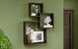 Εταζέρα Chambers 6593 wenge